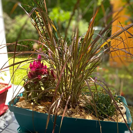 アパート 3 Pieces 