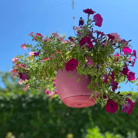 3 Pièces Vue Sur Le Jardin Appartamento