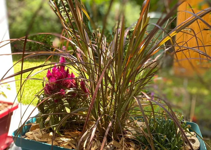 Διαμέρισμα 3 Pieces 